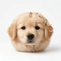 Golden Retriever Coin Purse